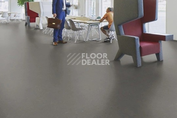 Линолеум Marmoleum Decibel 372335 nebula фото 1 | FLOORDEALER